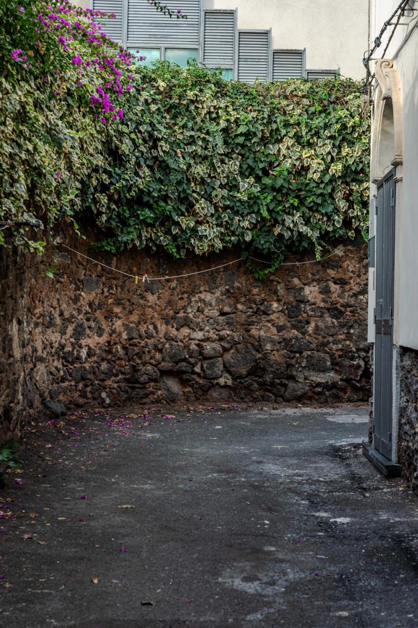 Casa vacanze Casa Dell'essenza